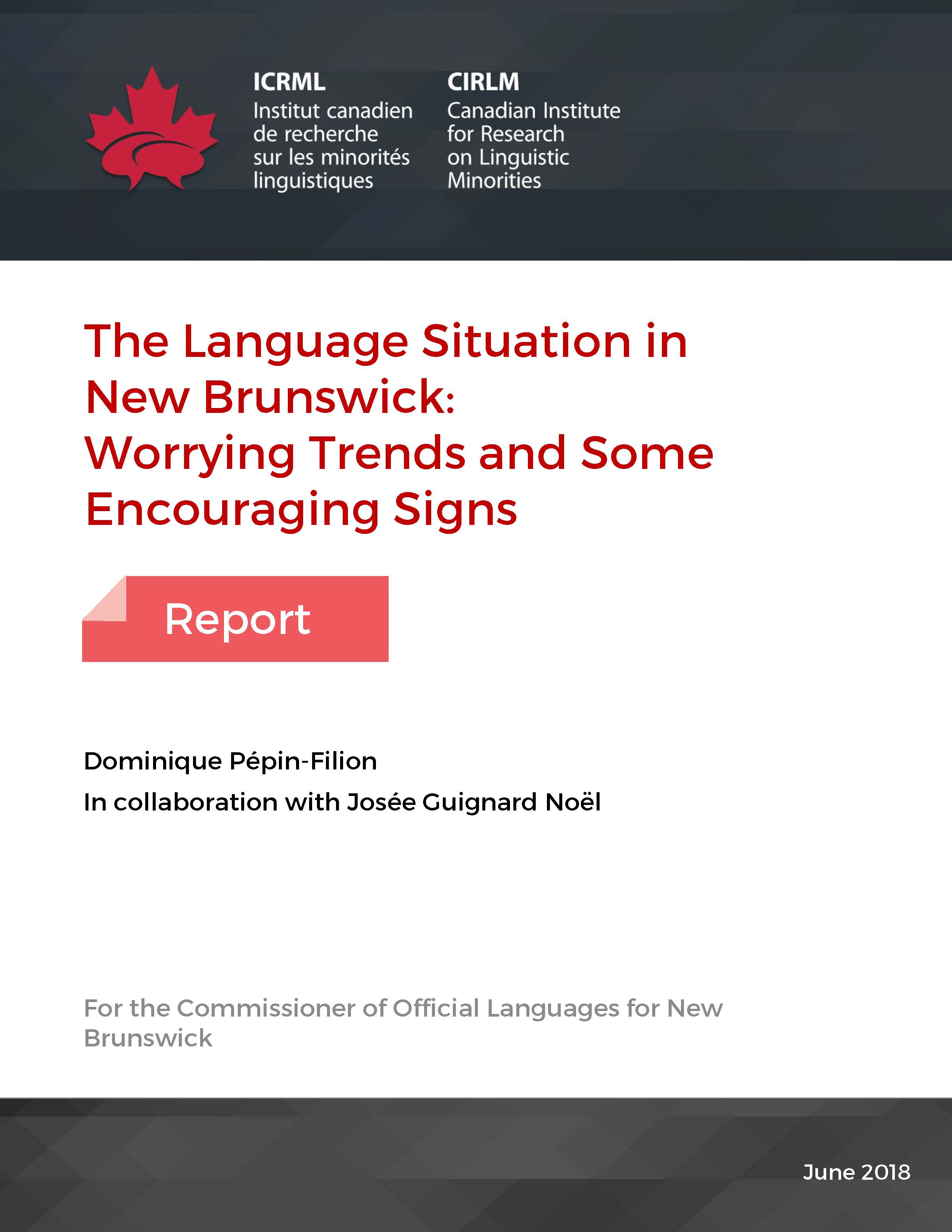 Rapport situation linguistique 2018 1